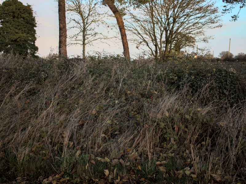 Churchyard